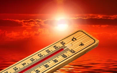 Val de caniculă peste România. Cod galben de temperaturi extreme